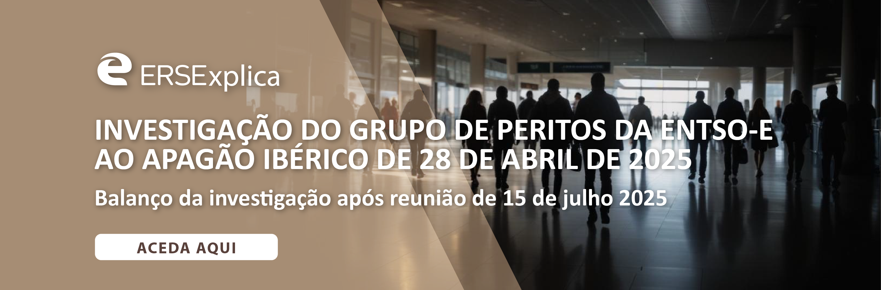 ERSE25 Banner Investigacaopt 15Jul