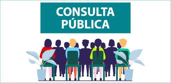 Consulta Publica 2